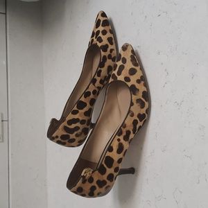 Used Tory Burch Leopard kitten heels